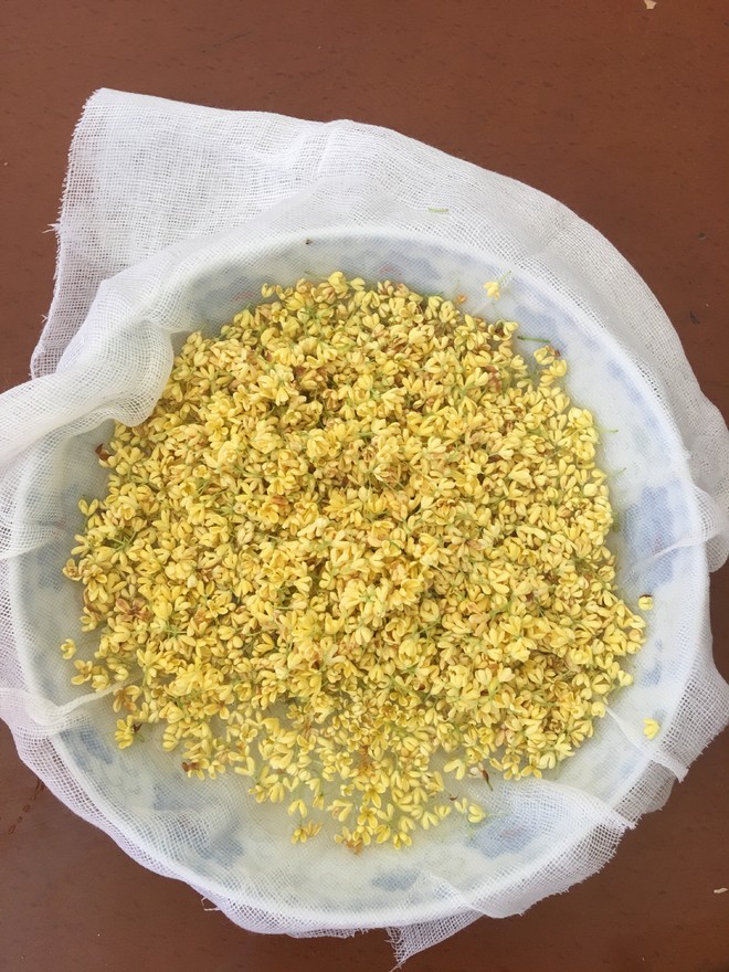 自制桂花茶的做法步骤图 自制桂花茶怎么做好吃 小雨吃大鱼zz 下厨房 自制桂花茶的做法步骤图 自制桂花茶怎么做好吃 小雨吃大鱼zz 下厨房