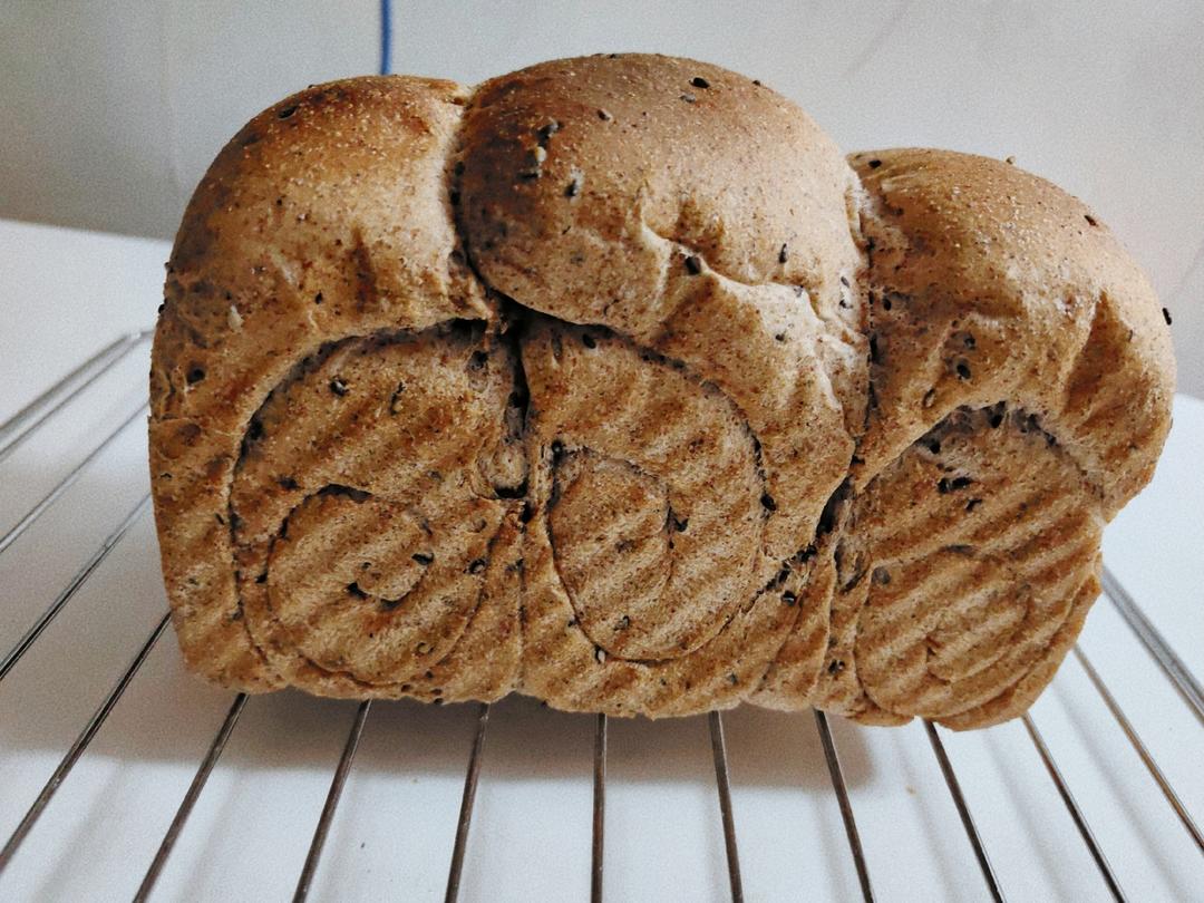 黑麦吐司 70%黑麦 波兰种