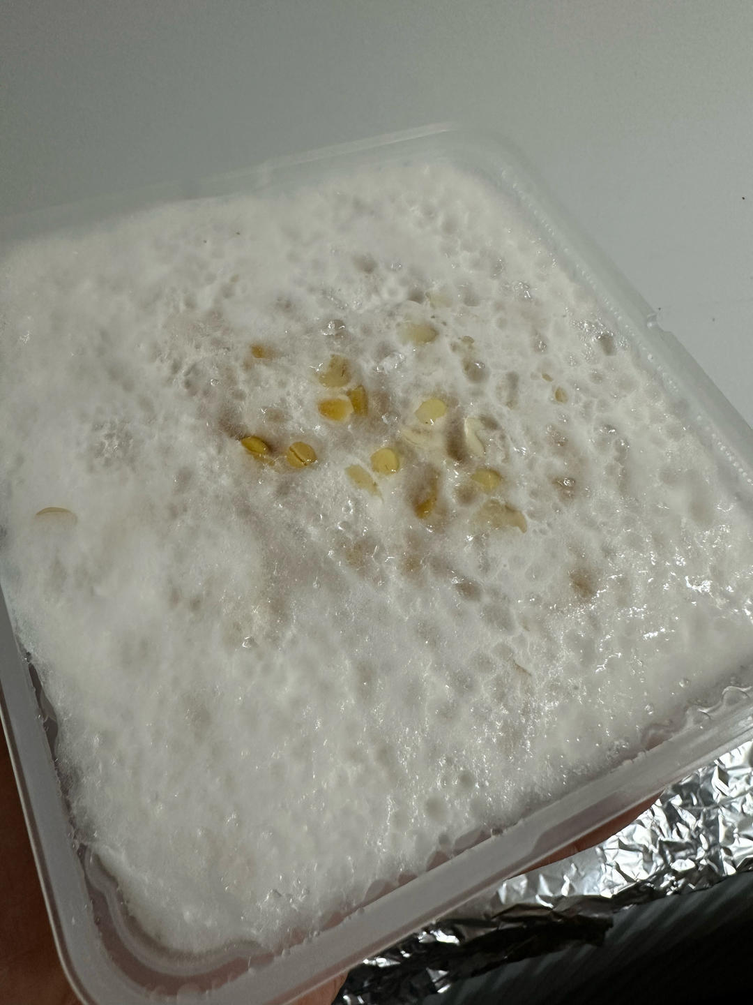 自制天贝（Tempeh）