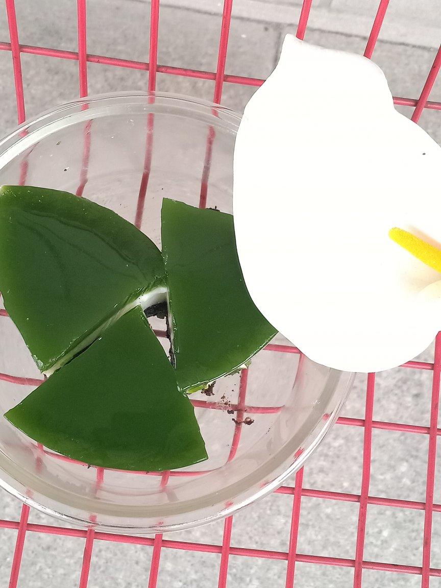 黄瓜纯酸奶慕斯