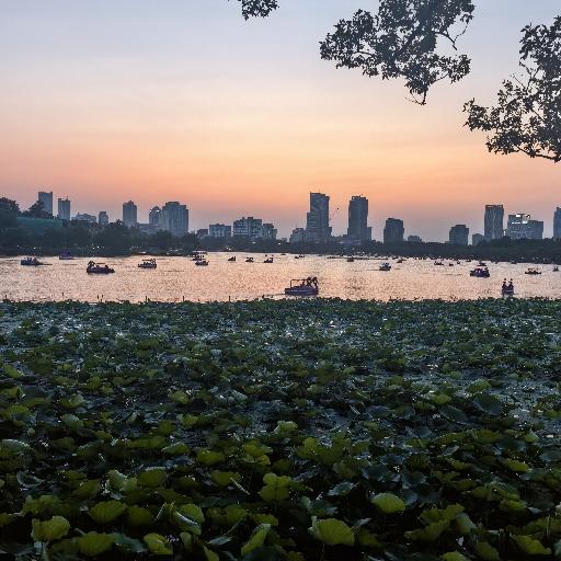 爱吃又易胖的羊