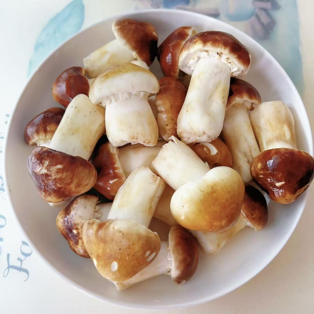 黄油香煎赤松茸的做法 步骤2