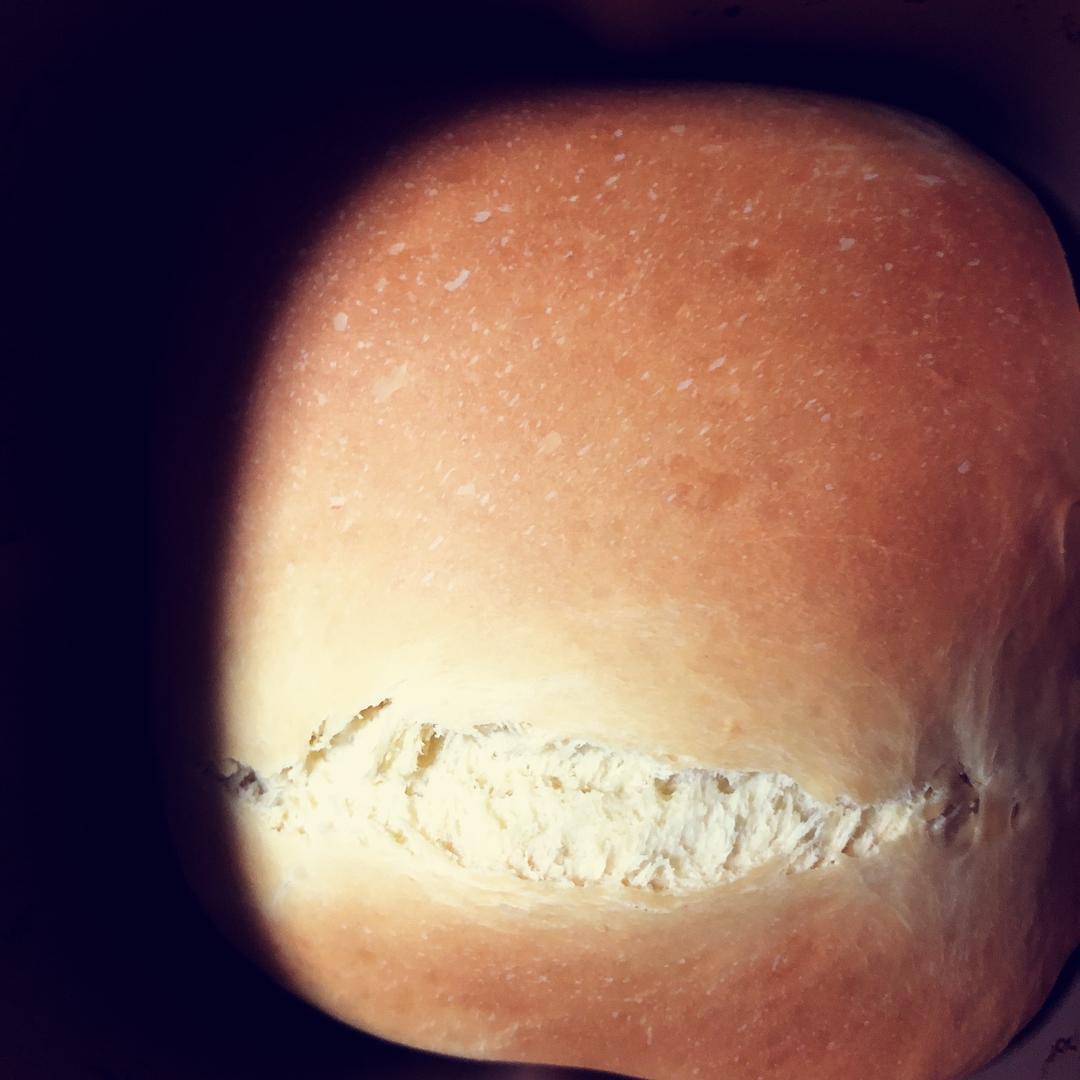 东菱面包机做松软拉丝面包