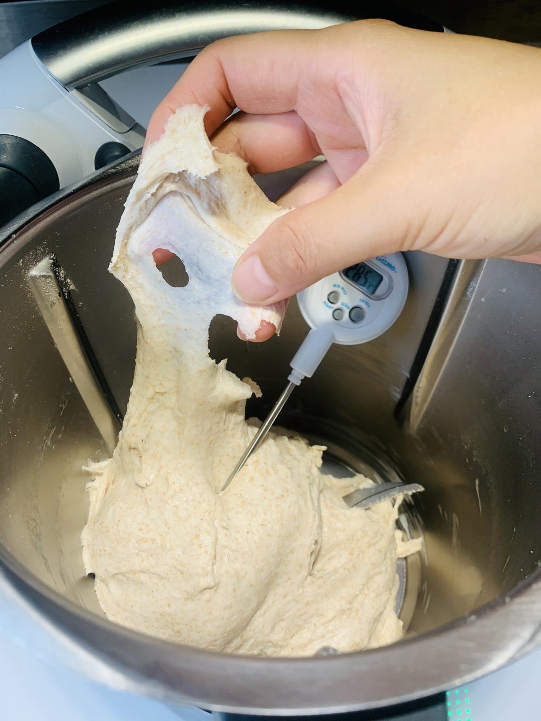 波兰种全麦佛卡夏——小美揉面的做法 步骤8