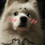 翩翩成缱绻