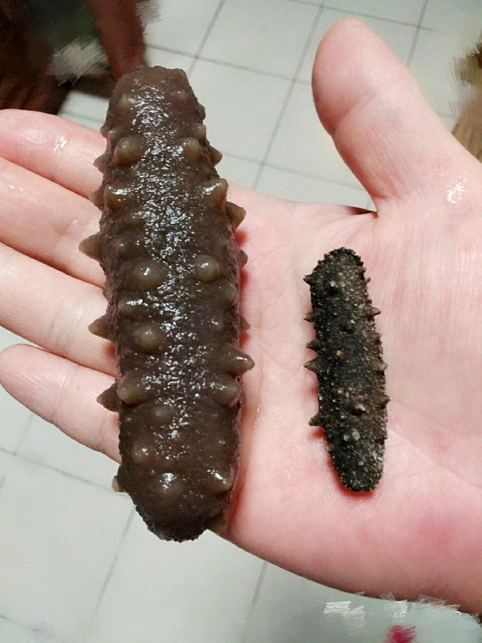堂妈教你发海参