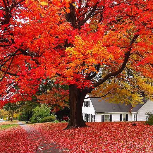 晒幸福不代表幸福