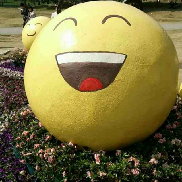 W程丫丫