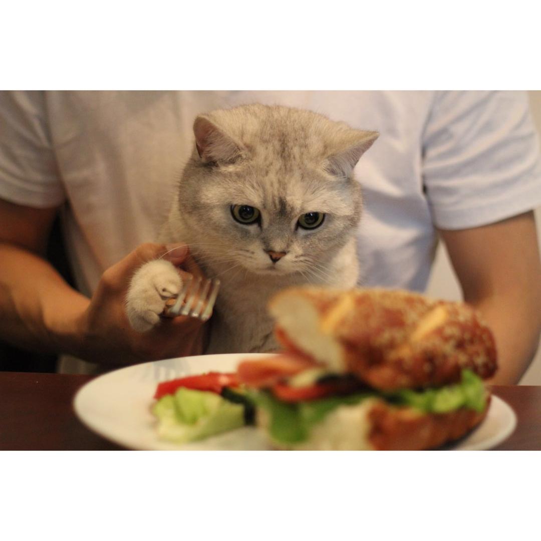 Mr. Dirty 's Breakfast