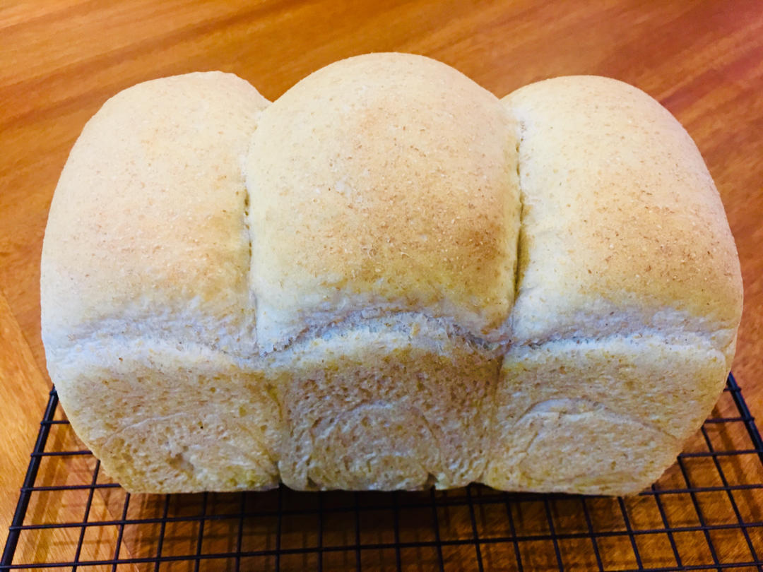 65%全麦吐司 王后粗麸/粗粒全麦粉 无奶低糖低油也可以很松软的粗粒全麦吐司