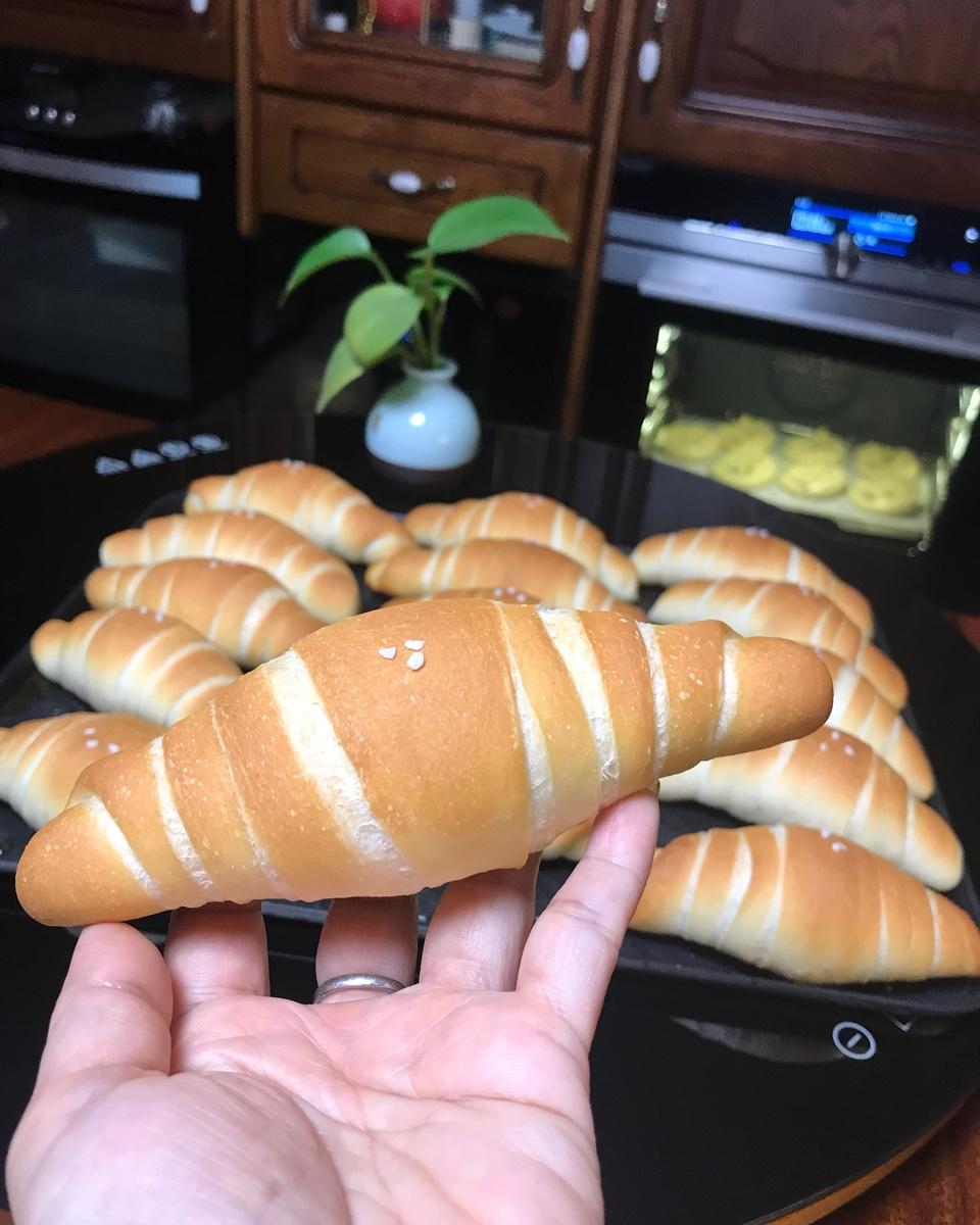 凯顿国际—日式盐花卷（咸可颂）