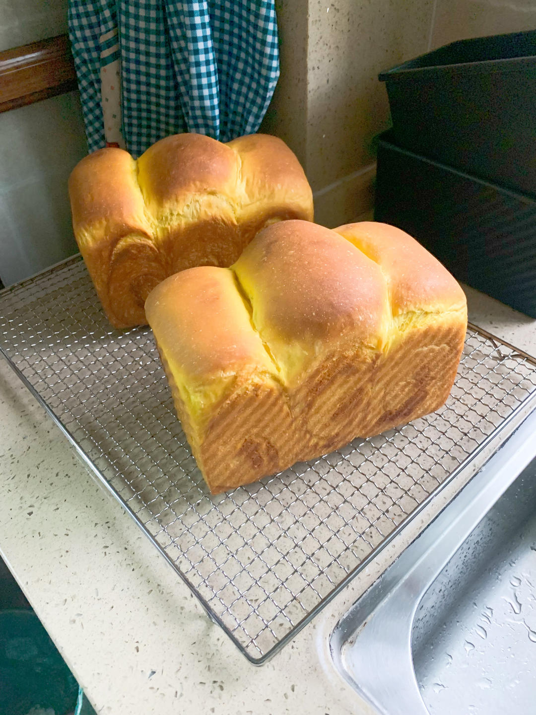 南瓜椰蓉手撕小甜包