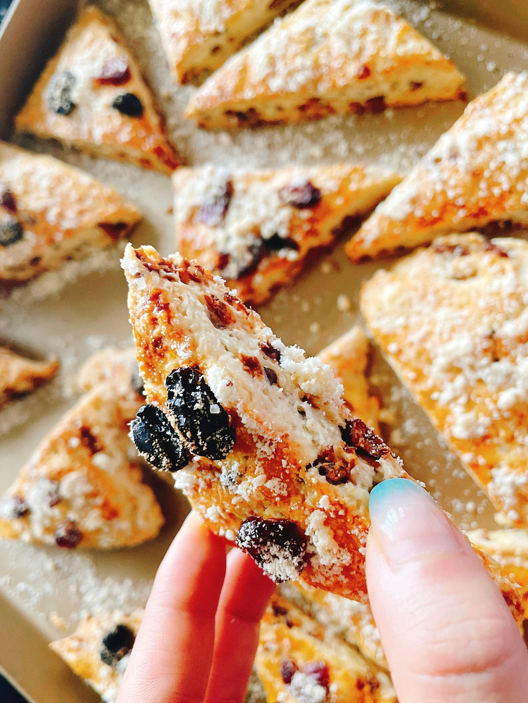 满屋飘香，口口都是满足——酥松香甜的蔓越莓蜜豆司康