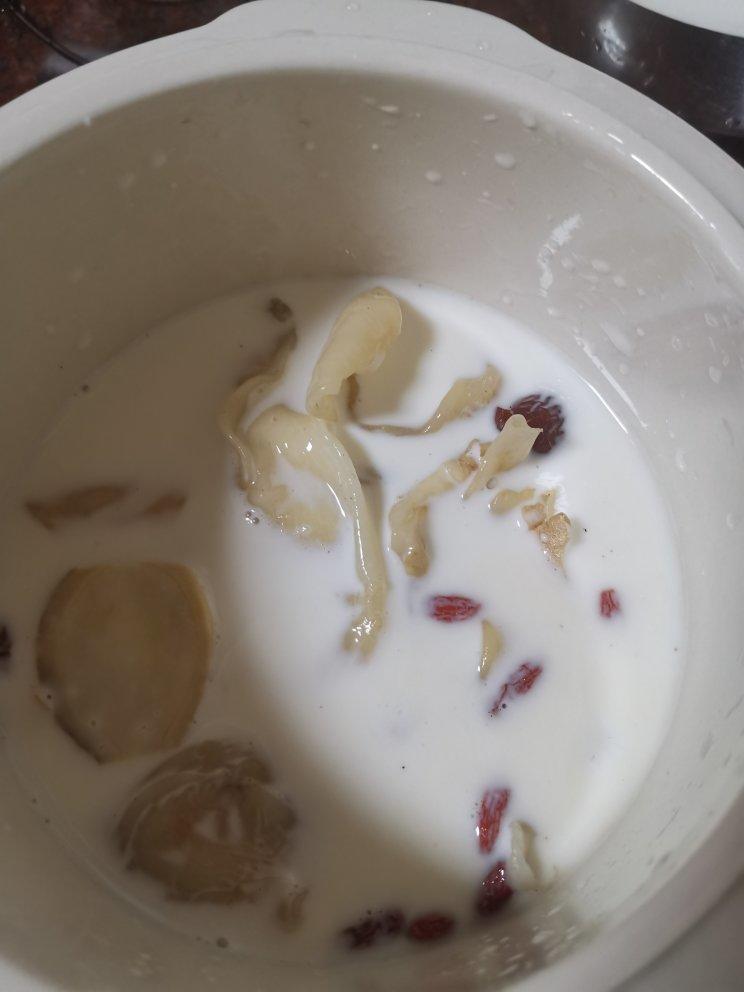 牛奶炖花胶