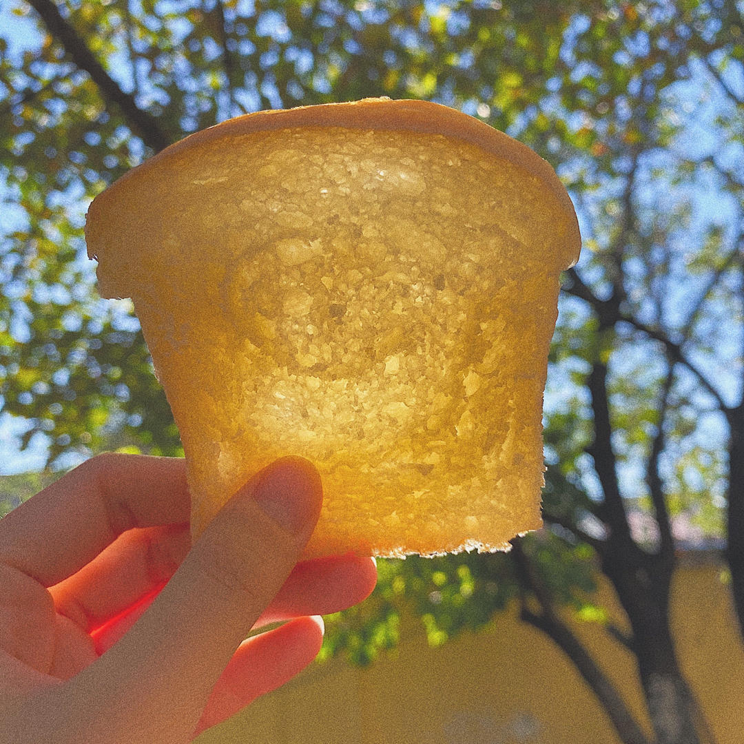 烤个萌萌的蘑菇头（大耳朵）吐司吧！