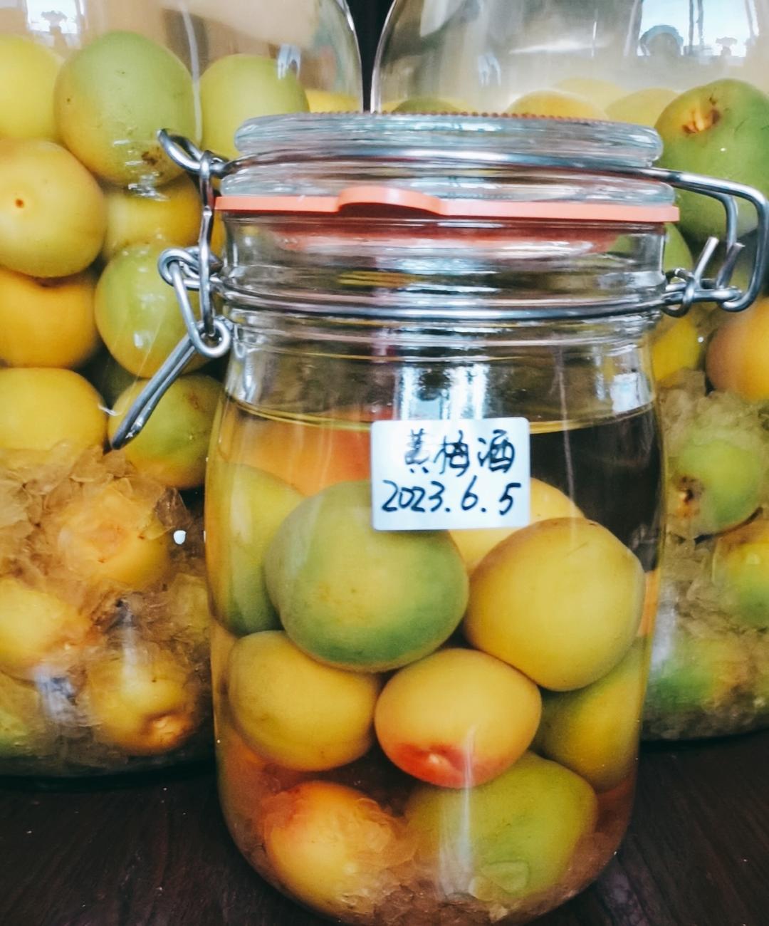 零失败【青梅酒 & 梅子露】梅子的沉淀岁月