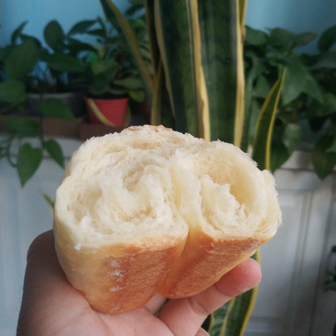 软到不知所措的牛奶卷