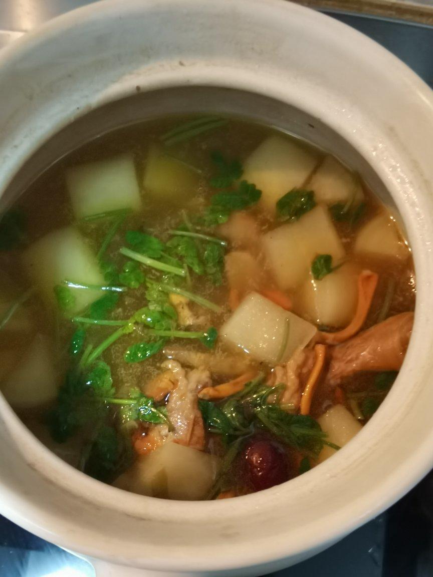 酸萝卜虫草杏鲍菇老鸭汤