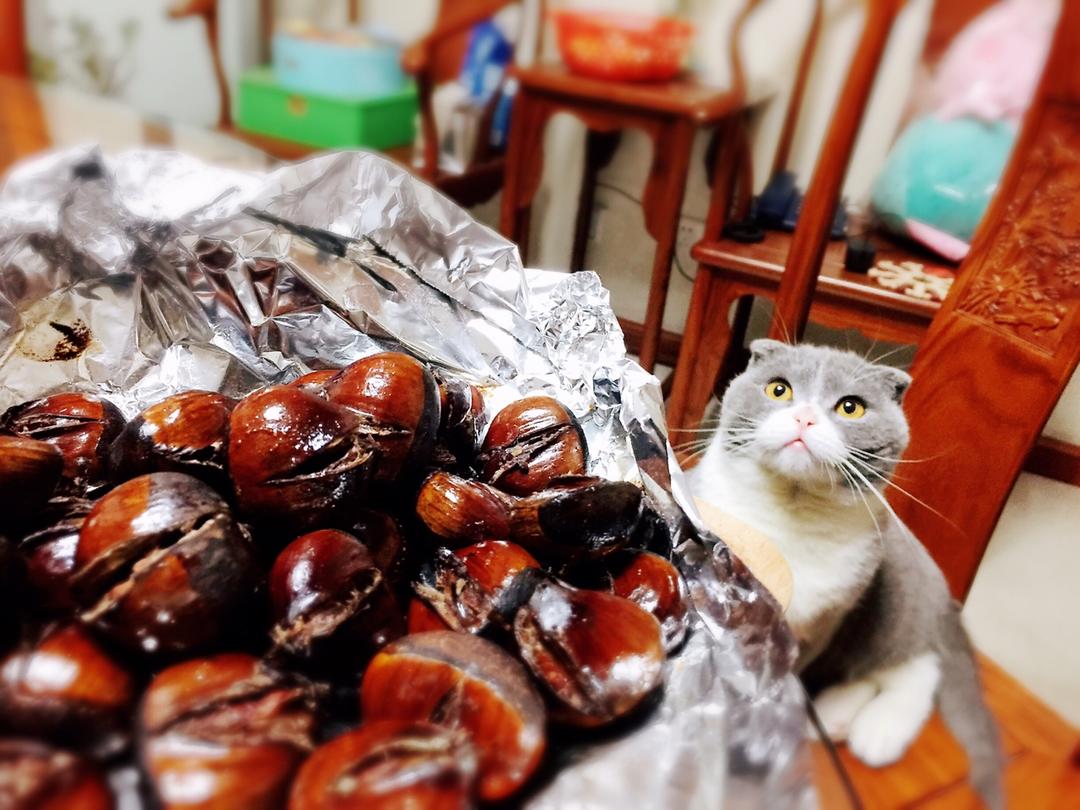 糖烤栗子（烤箱版）