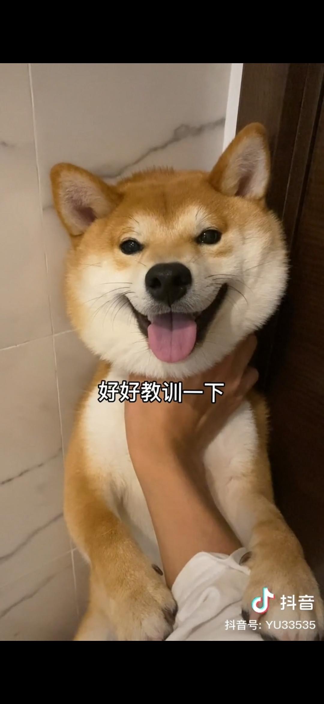 红烧五花肉