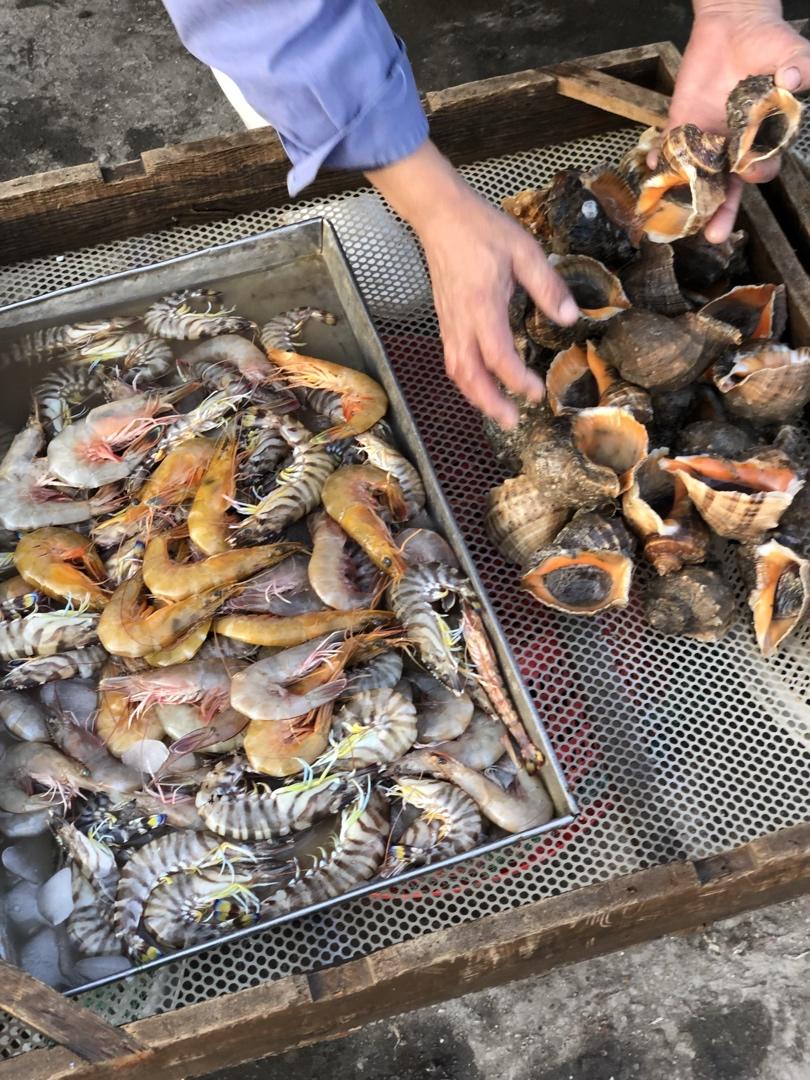 记录我做过的海鲜们