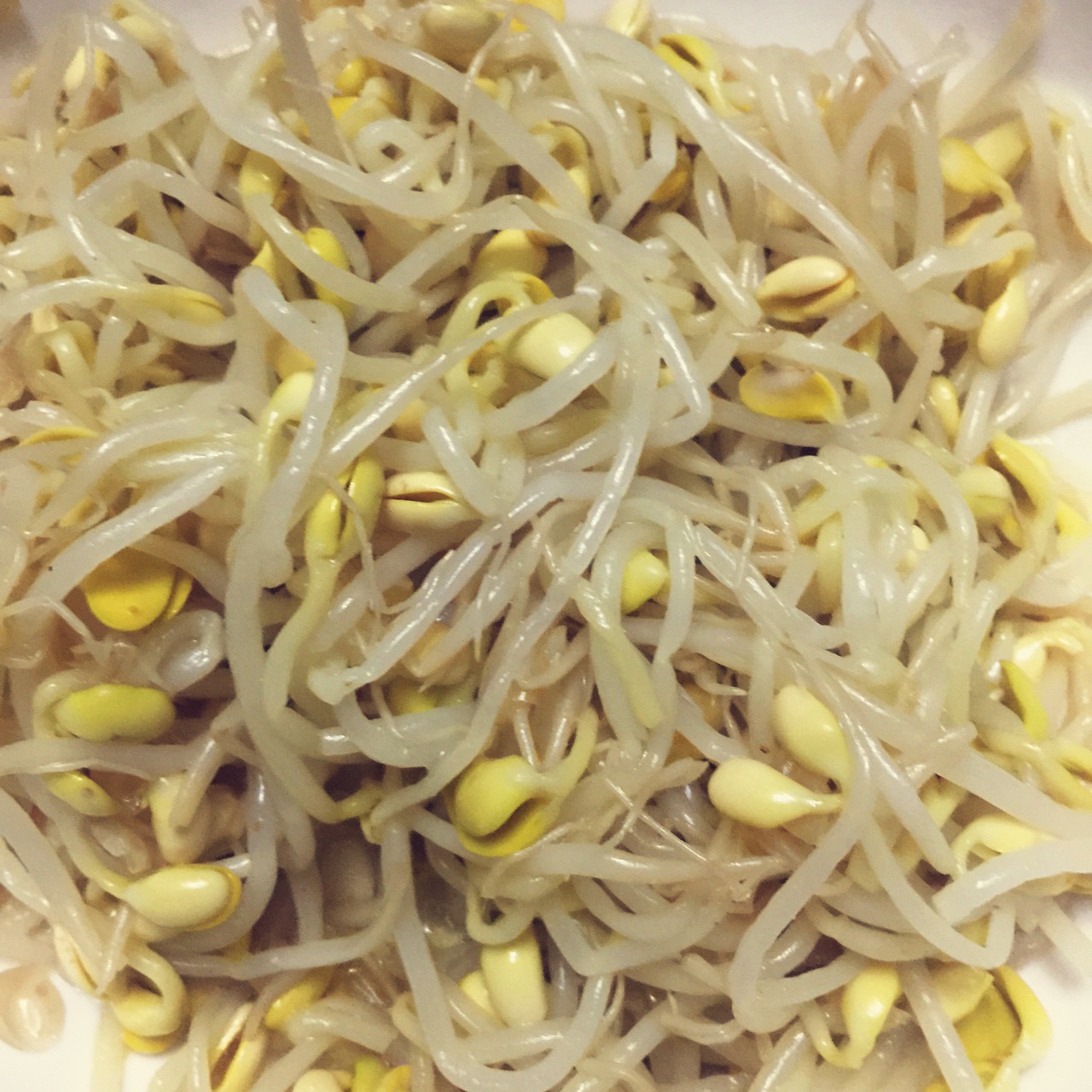 凉拌黄豆芽
