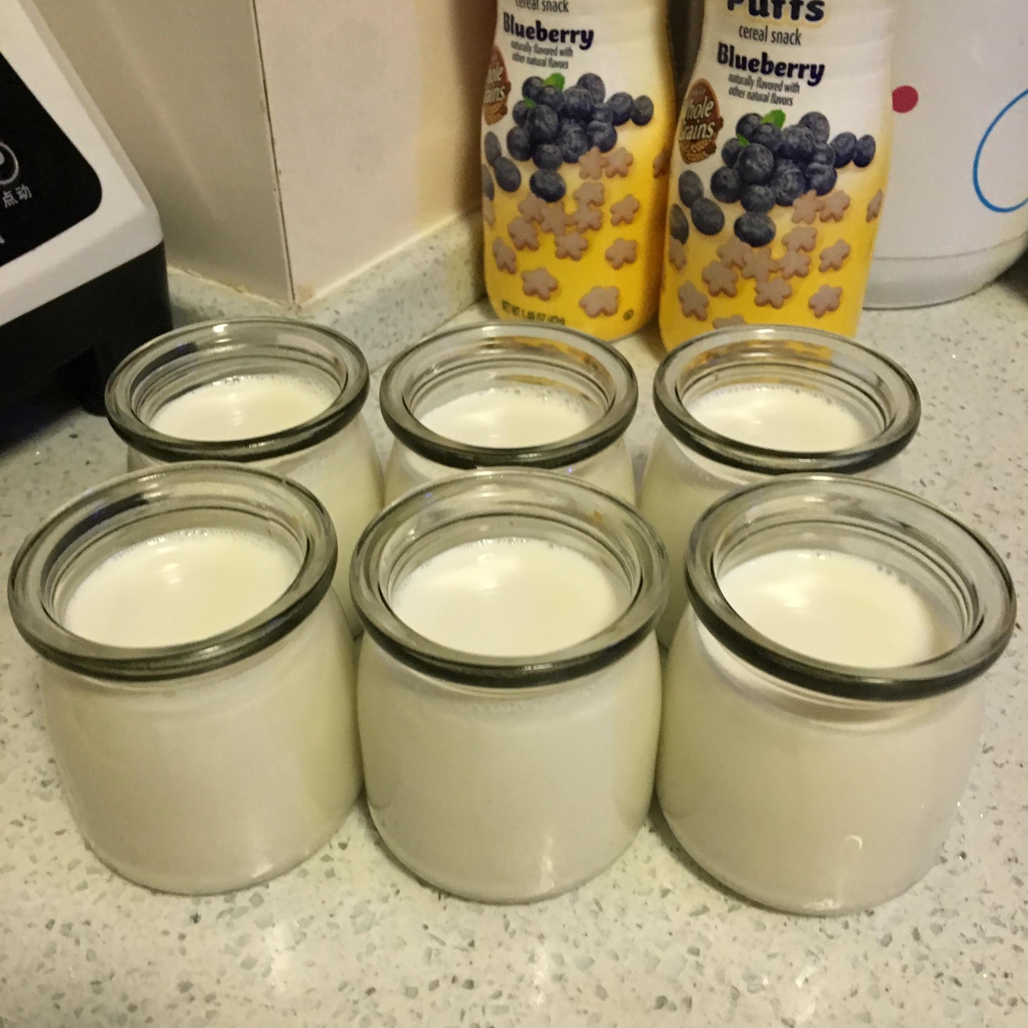 自制酸奶（不用酸奶机，谁都可以做）的做法