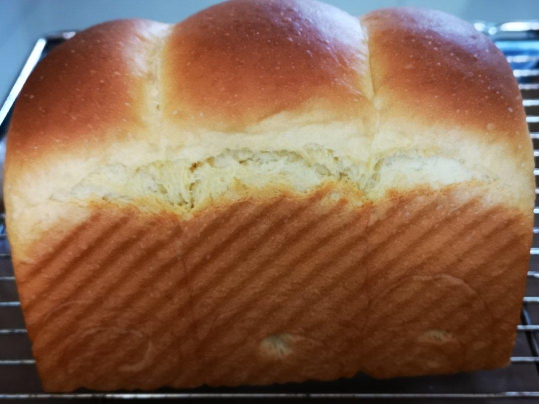 北海道巨蛋吐司