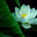 手机用户6729_28on