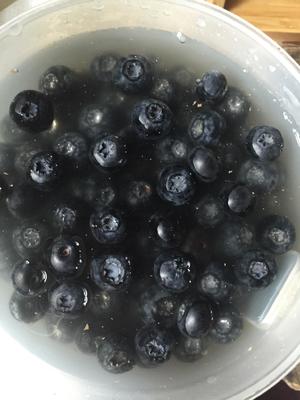 蓝莓鲜酿酵素的做法 步骤1