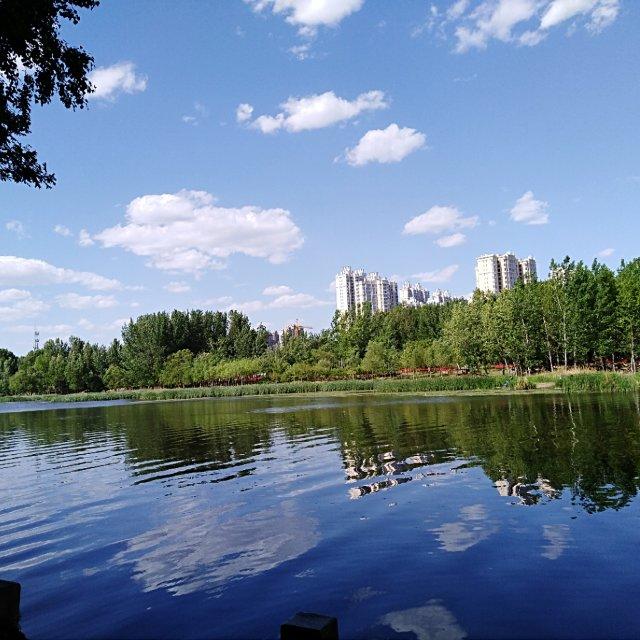 手机用FWYLJ晶晶