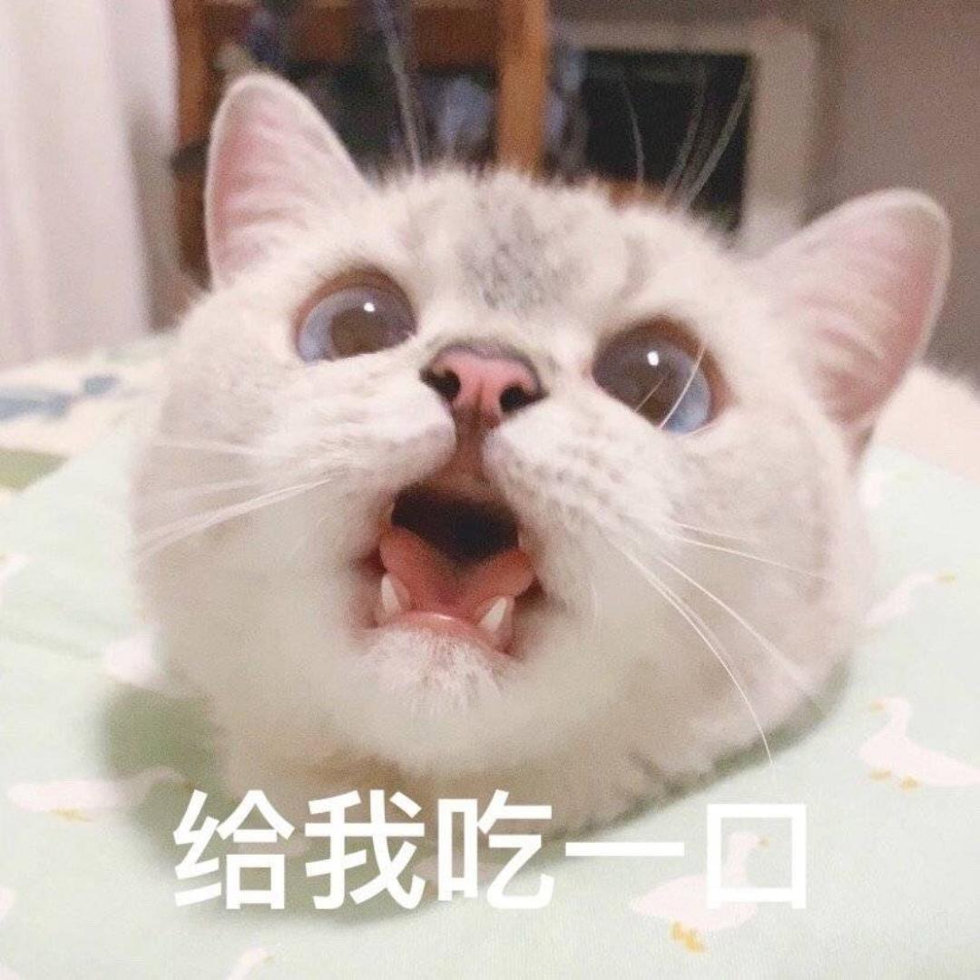 小娅妹纸是忙内攻