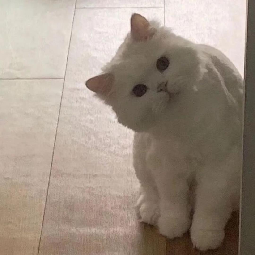 改了好几次还让改