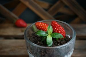 草莓酸奶盆栽的做法 步骤10