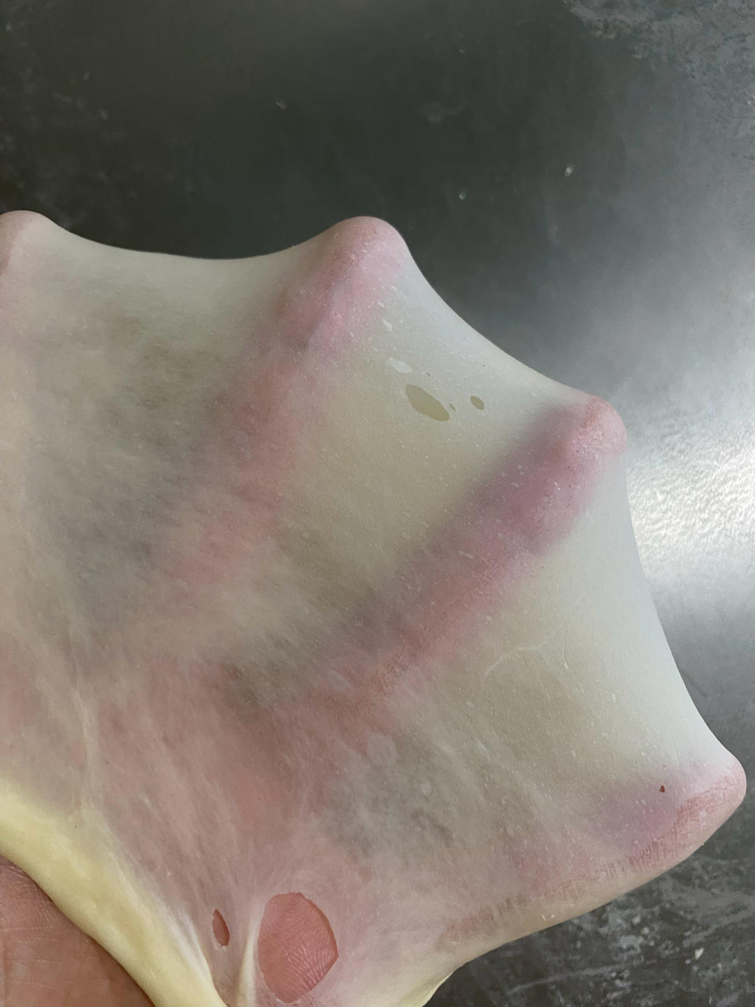 【干货】隔夜冷藏法轻松快速手揉手套膜🍞超简单