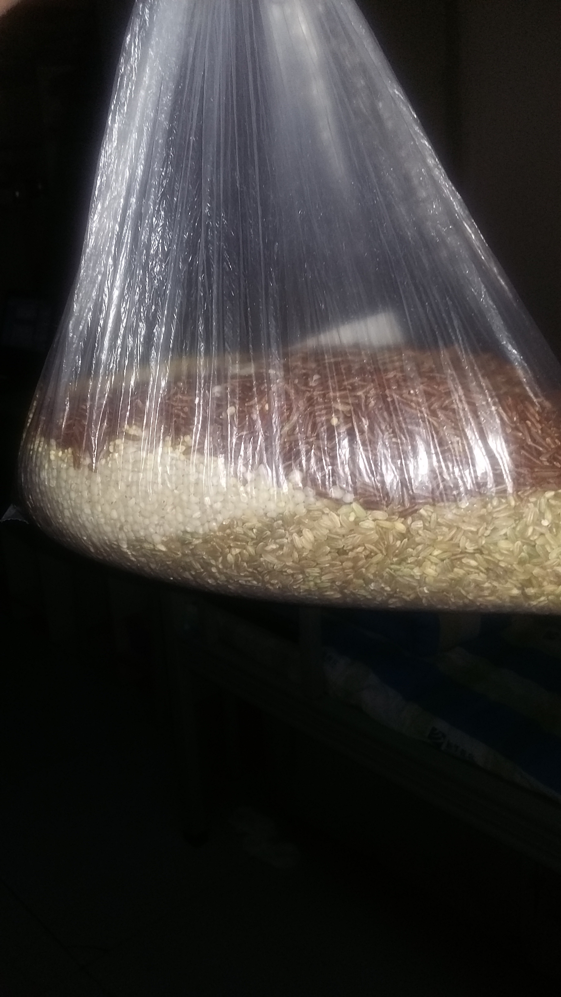 可乐鸡翅