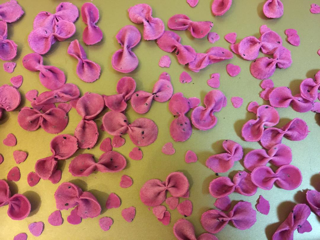 蝴蝶面 红心火龙果 辅食