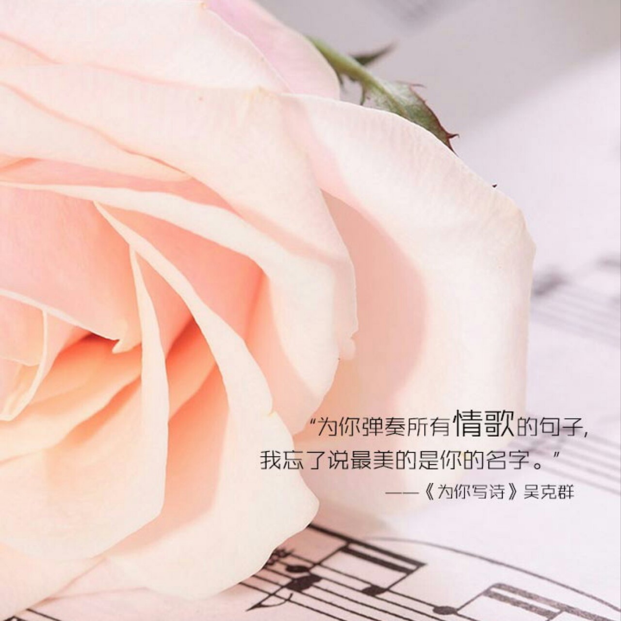 鹿梓萱
