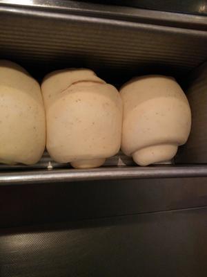 面包机版北海道土司的做法 步骤6