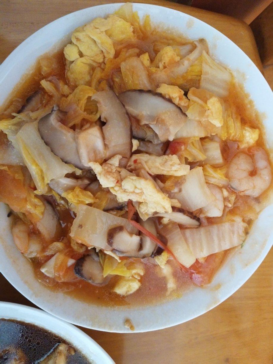 西红柿圆白菜炒蛋