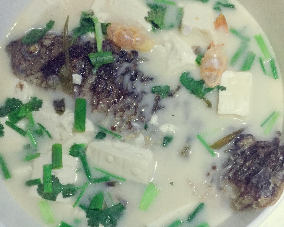 于太太鲫鱼豆腐汤（奶白奶白、鱼皮完整）