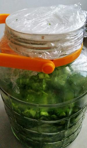 自制发酵腌酸菜的做法 步骤12