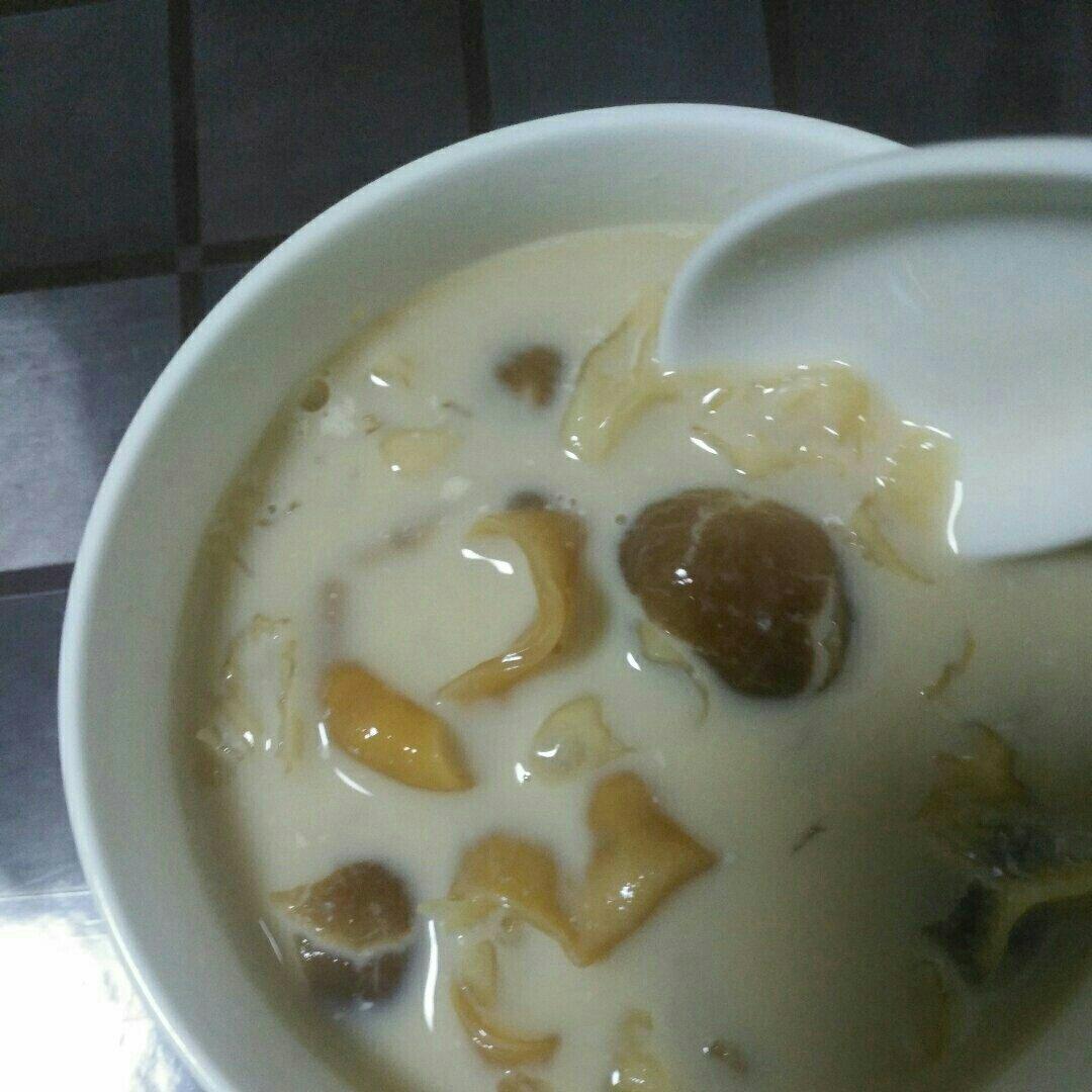 牛奶炖鱼胶／花胶