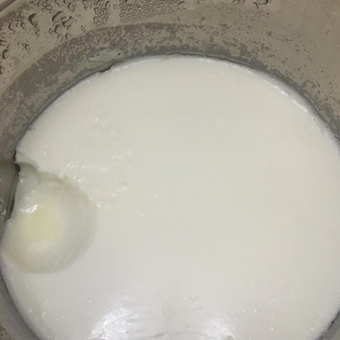 自制浓厚老酸奶＆希腊酸奶