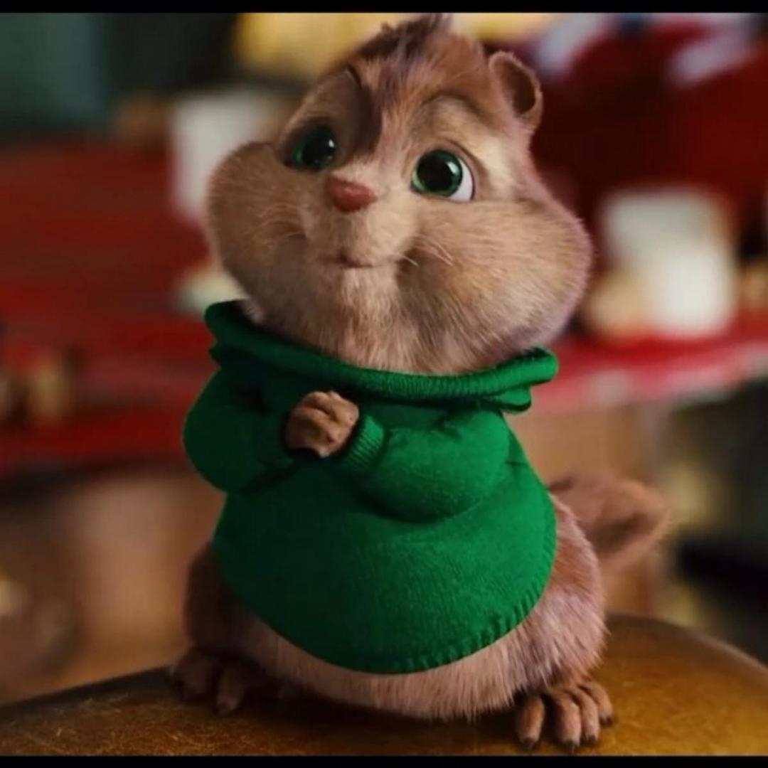 不爱下厨的天才厨子