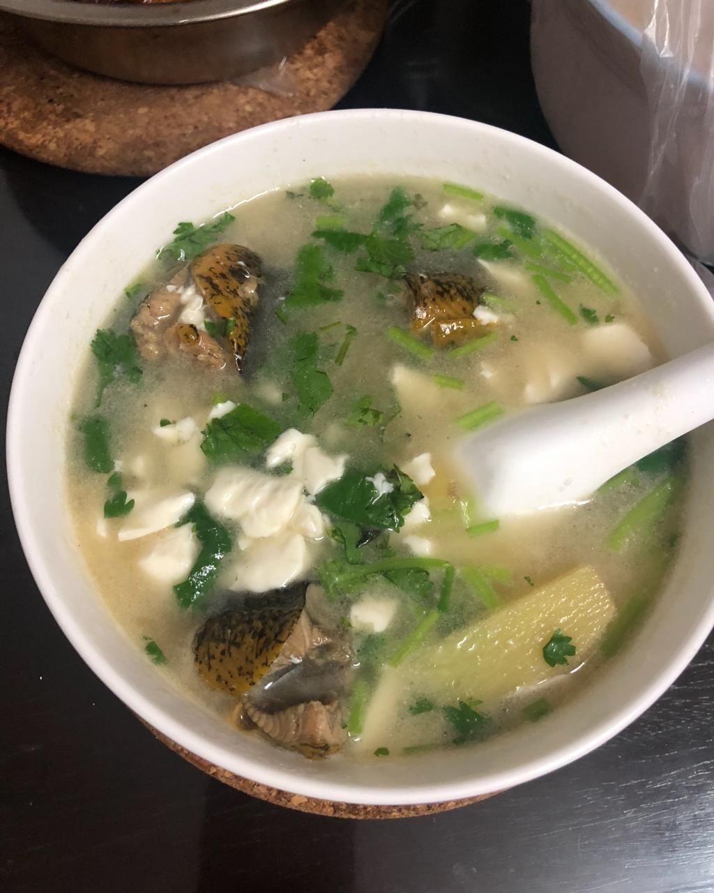 鳝鱼豆腐汤