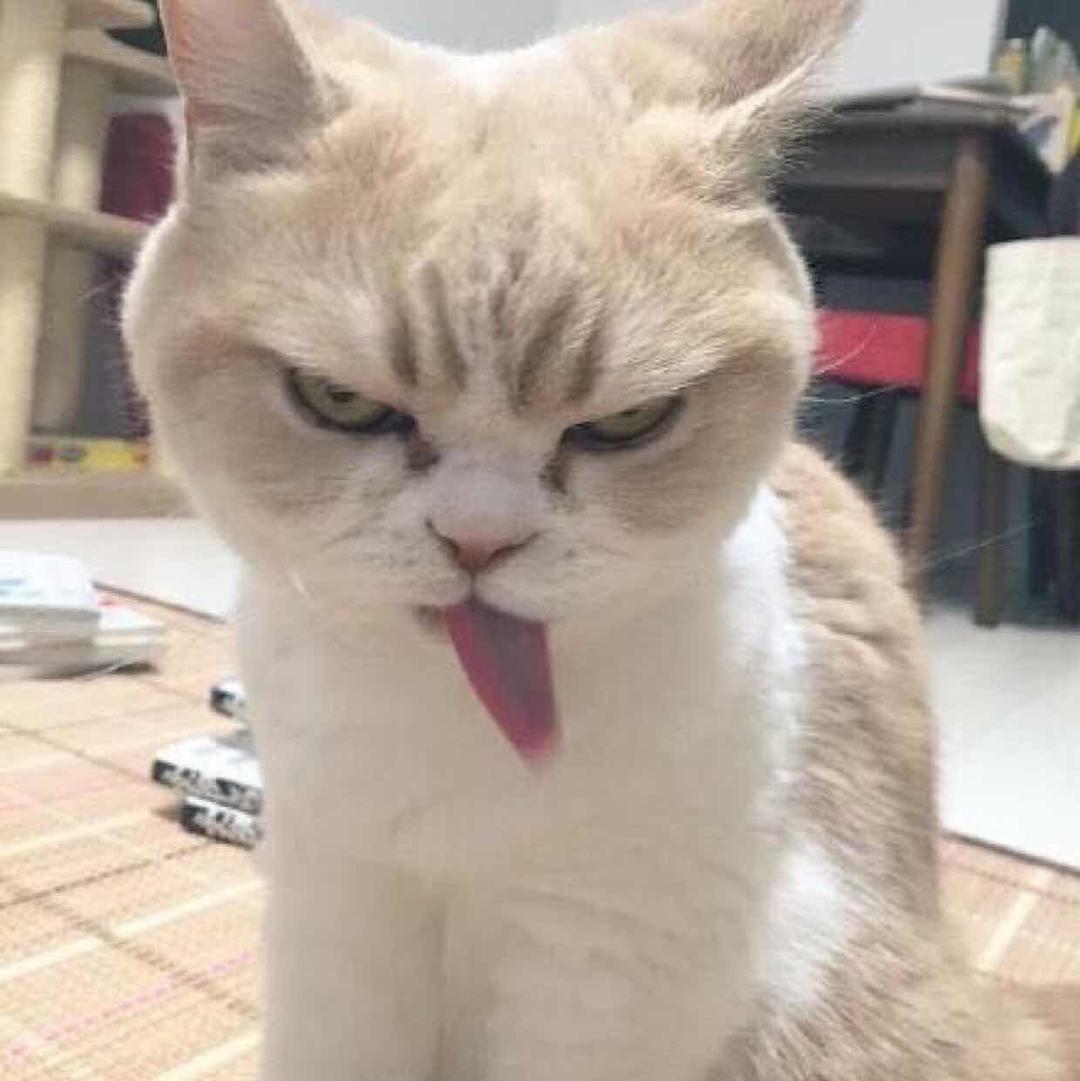 住在你隔壁的老王