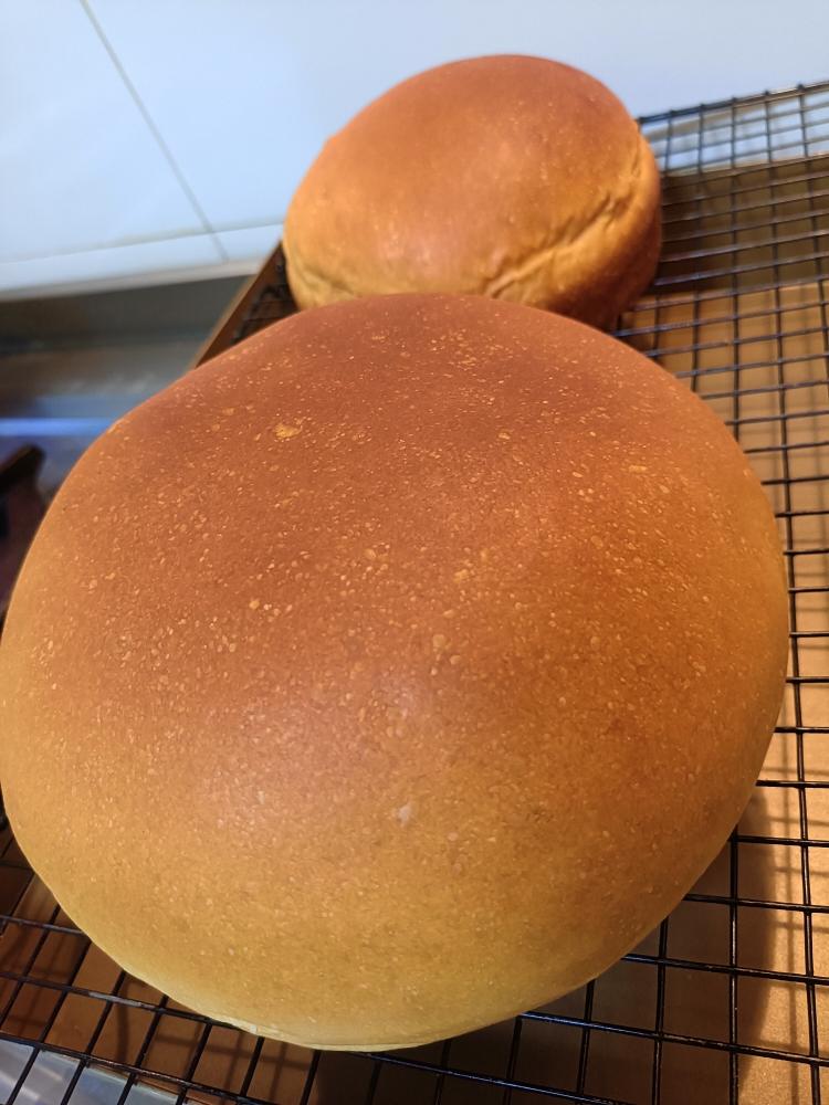 淡奶油版奶酪包（附沙拉酱肉松手撕包）