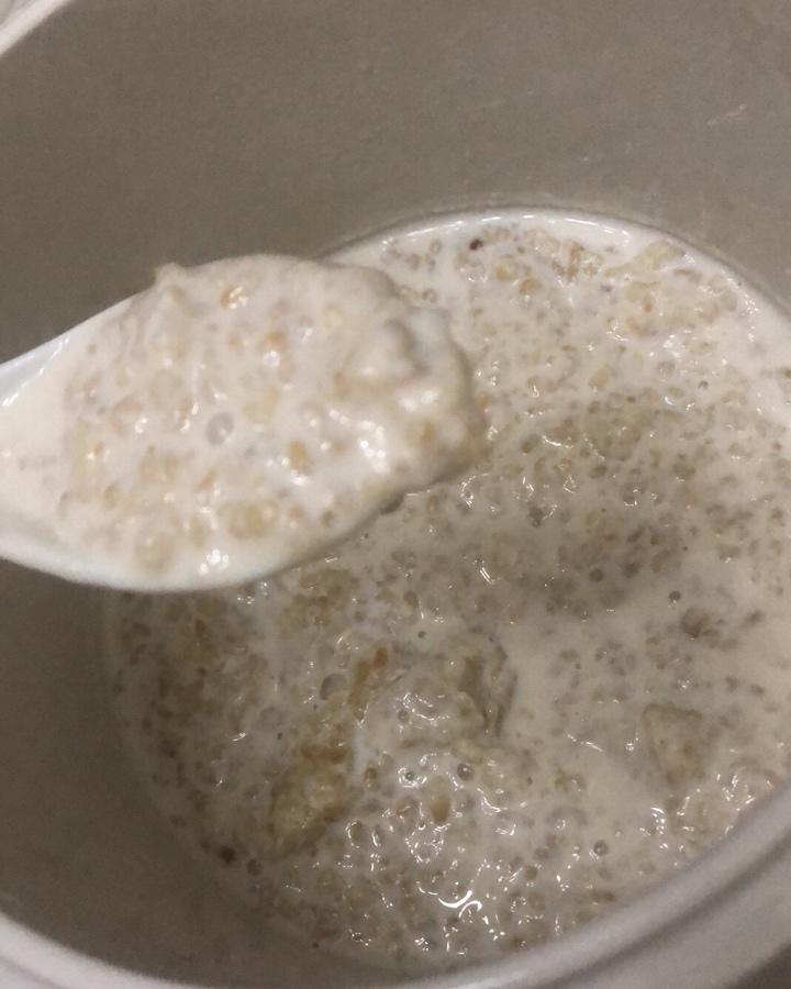 钢切燕麦牛奶粥(电炖盅)