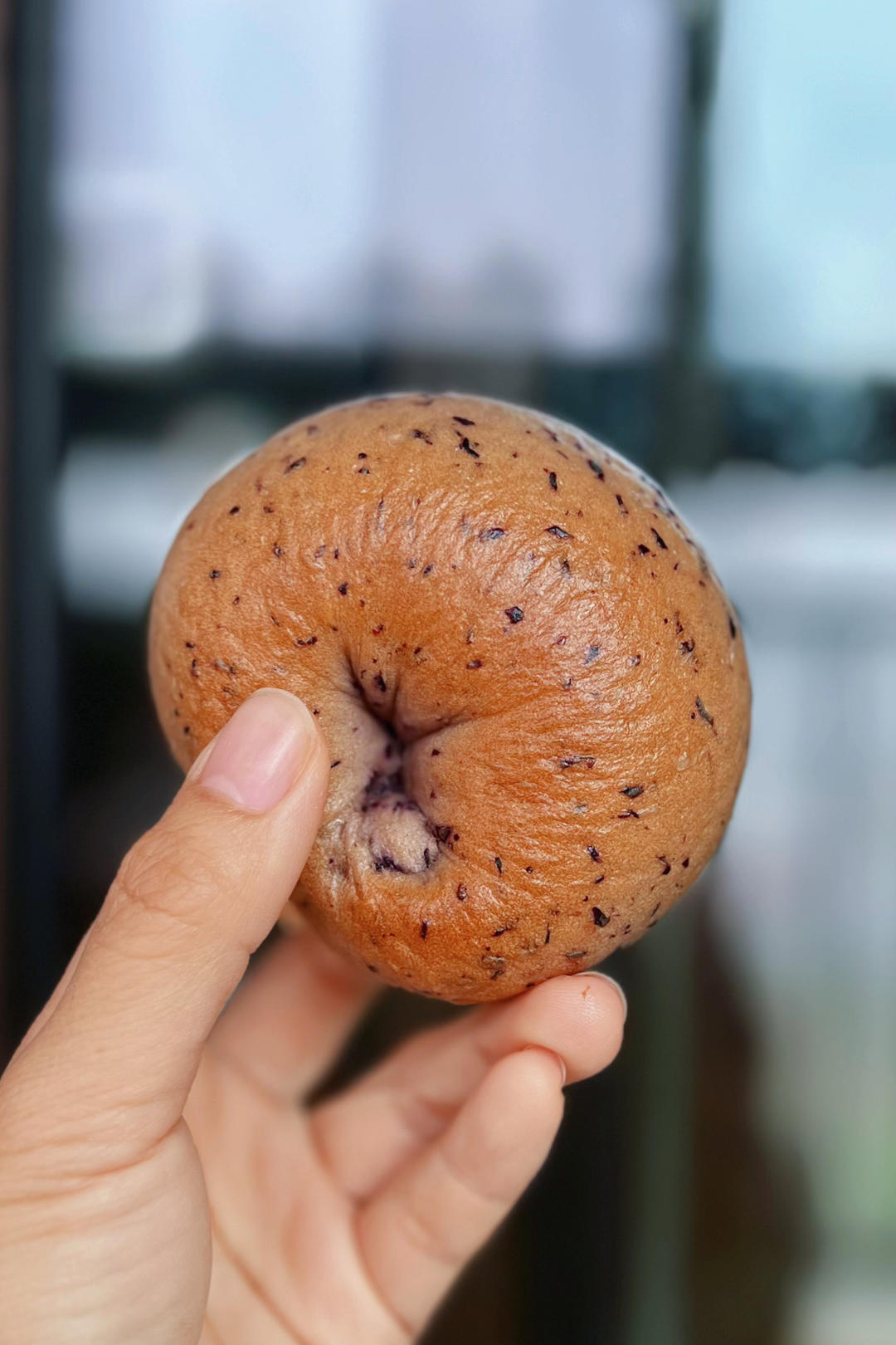 奶香蓝莓乳酪贝果💗新鲜水果香气🥯